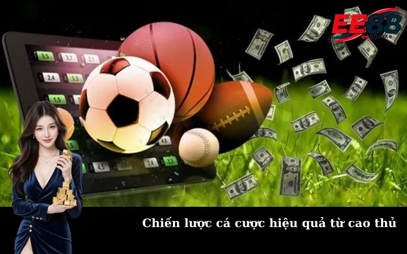 Chiến lược cá cược hiệu quả từ cao thủ